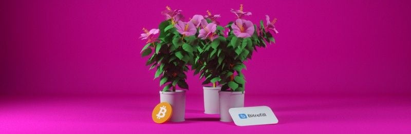 Mother’s Day is almost here, this is why you should think Bitrefill