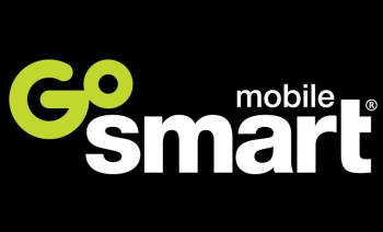 GoSmart Unlimited TTD PIN