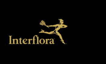 Gift Card Interflora