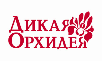 Дикая Орхидея Gift Card