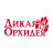 Дикая Орхидея