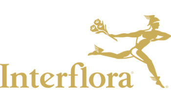 Gift Card Interflora