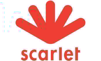 Scarlet pin Refill