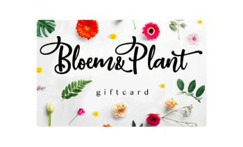 Bloem&Plant BE Geschenkkarte
