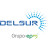 Delsur Electricidad