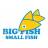 Big Fish Small Fish