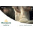 Morrisons Fuel Card