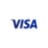 Virtual Prepaid Visa