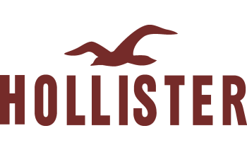 Hollister voucher top