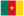 Flag for Cameroon