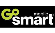 GoSmart Unlimited TTD PIN