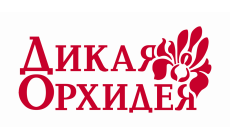 Дикая Орхидея