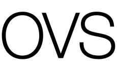 OVS